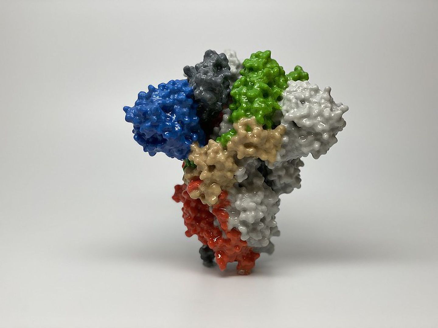 新兴冠状病毒表面的刺突蛋白的3D列印。刺突蛋白覆盖在病毒的表面，使病毒能够进入并感染人类细胞。(美国国家卫生院)