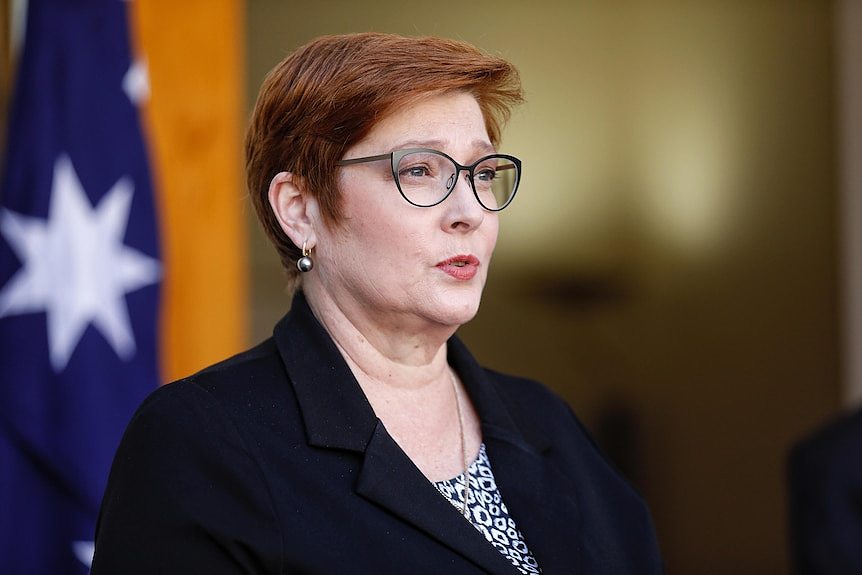 Payne speaks in front of an Australian flag, looking to right of frame.