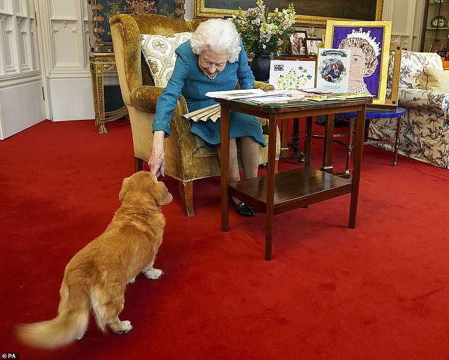 英国女王收继位70年贺礼，戴父母送的胸针喜气洋洋，混血小狗出镜（组图） - 3