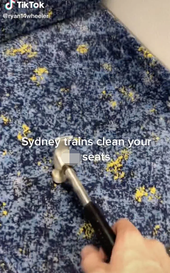 一敲一层灰！悉尼火车座椅太脏被吐槽，网友：每次坐车都想带个吸尘器（组图） - 2