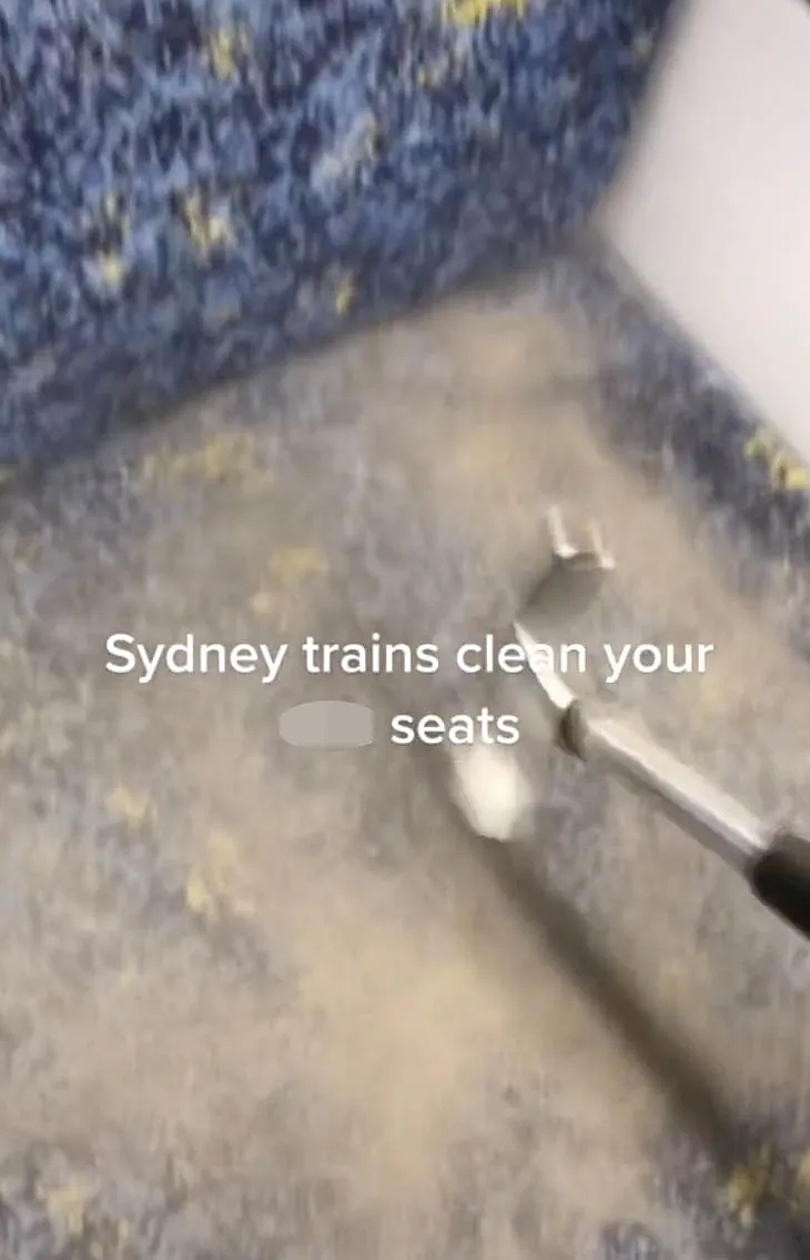 一敲一层灰！悉尼火车座椅太脏被吐槽，网友：每次坐车都想带个吸尘器（组图） - 3