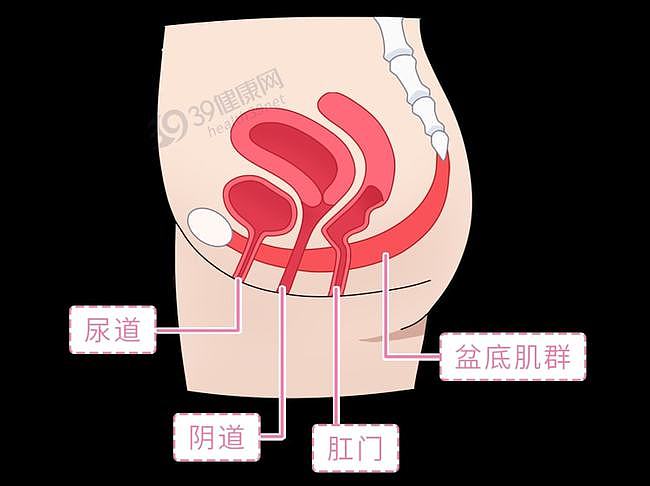 【健康】阴道哑铃怎么用？一文看懂阴道哑铃，女性要“紧”握自己的幸福（组图） - 4