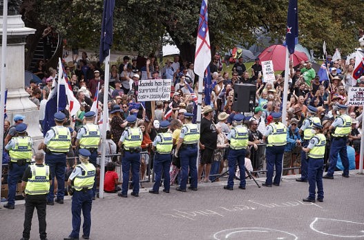 新西兰国会抗议：已逮捕120人，2名警察受伤，已向惠灵顿增派警力（组图） - 15