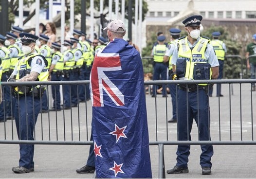 新西兰国会抗议：已逮捕120人，2名警察受伤，已向惠灵顿增派警力（组图） - 18