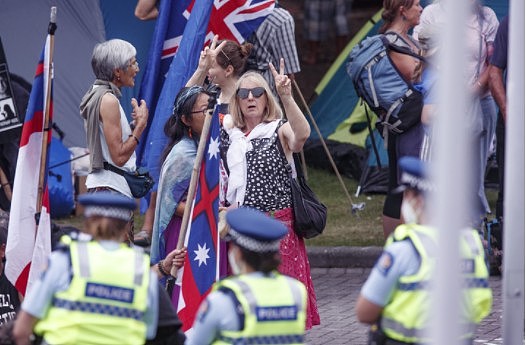 新西兰国会抗议：已逮捕120人，2名警察受伤，已向惠灵顿增派警力（组图） - 20