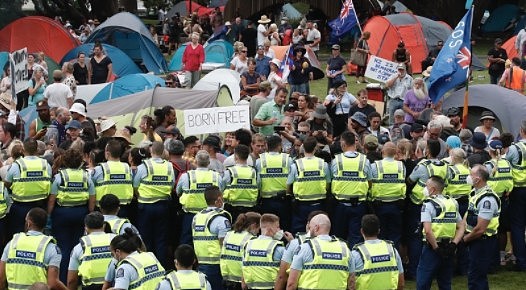 新西兰国会抗议：已逮捕120人，2名警察受伤，已向惠灵顿增派警力（组图） - 2