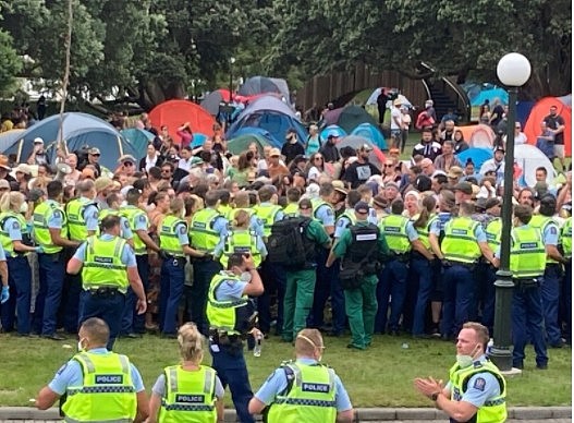 新西兰国会抗议：已逮捕120人，2名警察受伤，已向惠灵顿增派警力（组图） - 6