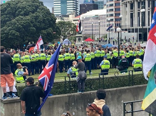 新西兰国会抗议：已逮捕120人，2名警察受伤，已向惠灵顿增派警力（组图） - 5