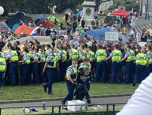 新西兰国会抗议：已逮捕120人，2名警察受伤，已向惠灵顿增派警力（组图） - 8