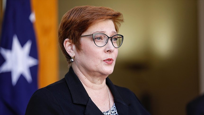 Payne speaks in front of an Australian flag, looking to right of frame.