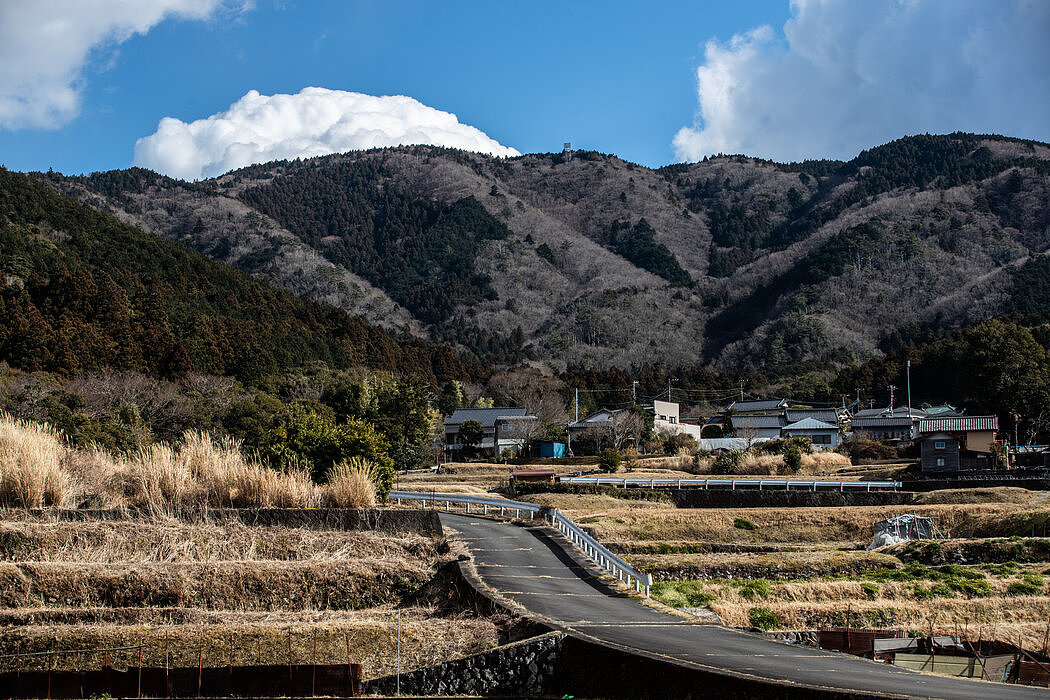 静冈县是日本最大的山葵种植区之一。