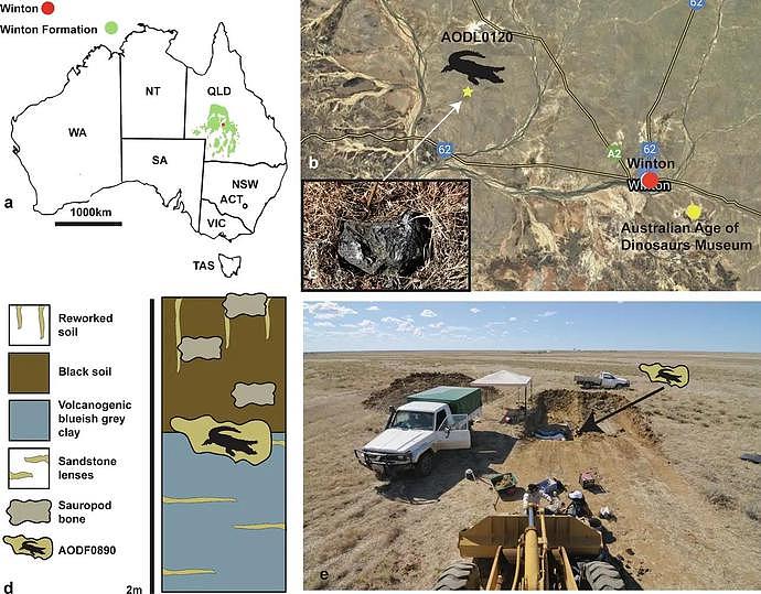 澳洲发现9300万年前鳄鱼化石！胃里面还有东西：部分消化的小恐龙遗骸（组图） - 5