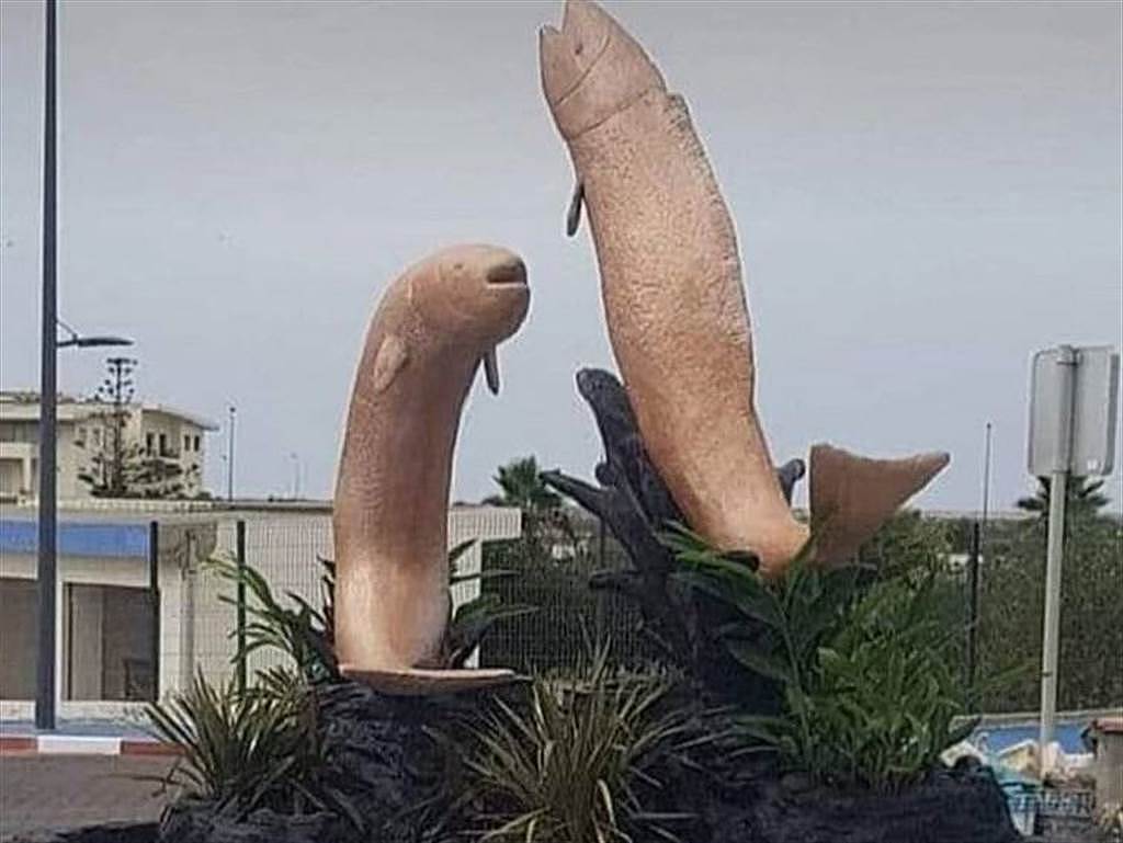 摩洛哥城市日前放上2只巨大飞鱼雕像在广场正上方作为装饰，但该飞鱼身体呈现圆柱形、粉肤色的外观和圆润鱼头，让当地民众看了直言根本像男性生殖器。 （翻摄自《每日邮报》）
