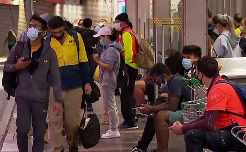 悉尼火车停运致交通瘫痪，M2车龙长达22公里，部分学校被迫停课！莫里森：罢工者不尊重悉尼民众（组图） - 7