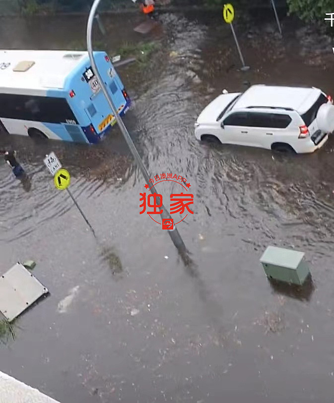 震撼！悉尼遭遇强雷暴袭击，多个华人区成“泽国”！街变河道、车库倒灌、垃圾桶漂浮...（视频/组图） - 2