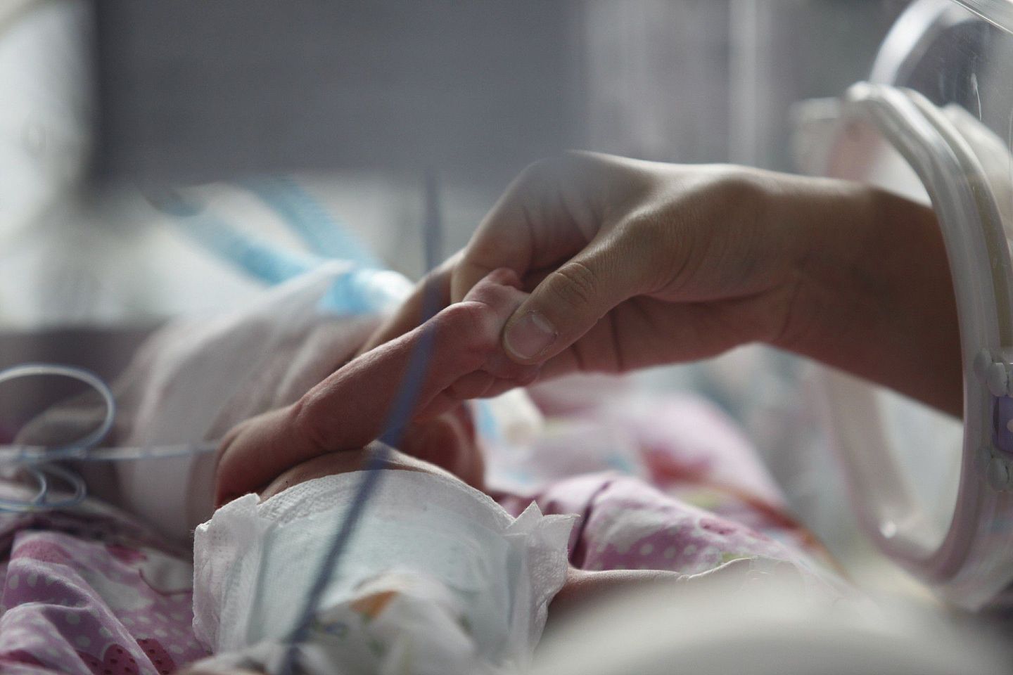 陕西一医院内，护士握著一个试管婴儿的手。（视觉中国）