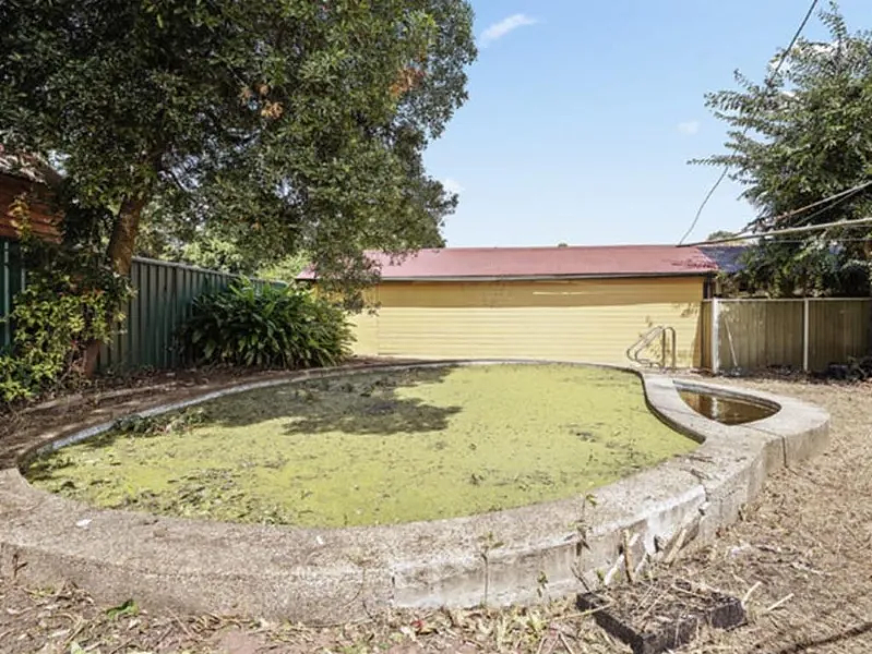 悉尼囤积屋$235万拍卖成功：布满白蚁垃圾成堆，维修费近$100万（组图） - 6