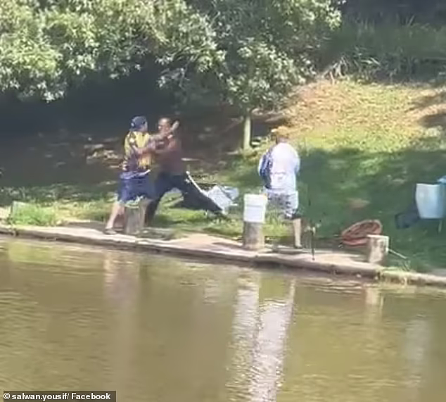 悉尼三男子为夺鱼大打出手！一同落水后继续扭打，目击者看呆（视频/组图） - 2