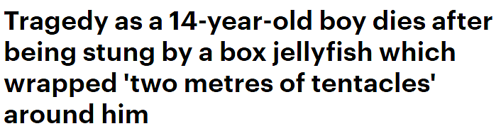 昆州14岁少年遭箱形水母缠身！跌撞着出水求救，经抢救无效死亡（组图） - 1