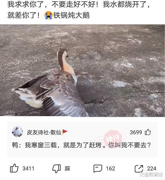 【爆笑】“聊了一个少妇，发现她是我同学妈妈，我该怎么办？”哈哈哈哈哈哈哈（组图） - 31