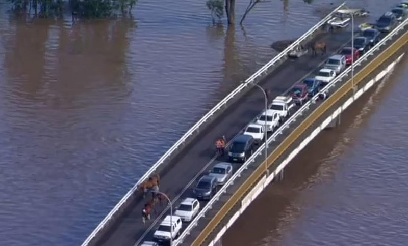 悉尼将迎千年一遇暴雨，超30万人面临危险！通勤恐陷入混乱，最好别出门（视频/组图） - 2