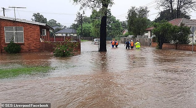 Hundreds of Sydneysiders have been evacuated from their homes (pictured are evacuations in the Liverpool area)