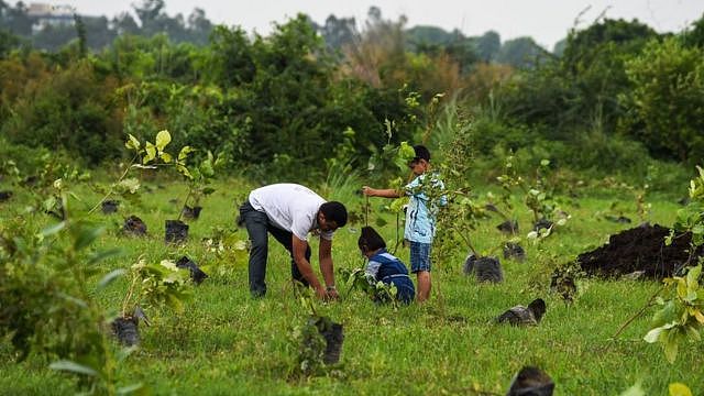 印度新德里一位男子帮助儿童植树（资料图片）