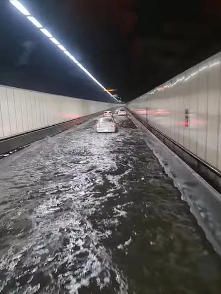 悉尼M5被洪水淹没，部分路段被迫关闭！视频记录震撼一幕（组图） - 2
