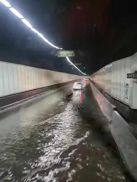 悉尼M5被洪水淹没，部分路段被迫关闭！视频记录震撼一幕（组图） - 3