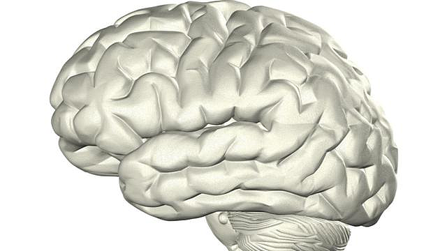国际研究发现：新冠病毒或致脑萎缩，损害记忆力及嗅觉（组图） - 2