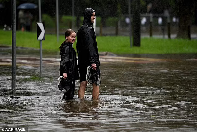 狂风暴雨仍在新州肆虐，时速百公里“妖风”周三袭击悉尼！周四短暂放晴， 周五又开始连日降雨（组图） - 8