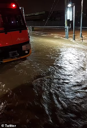 狂风暴雨仍在新州肆虐，时速百公里“妖风”周三袭击悉尼！周四短暂放晴， 周五又开始连日降雨（组图） - 16