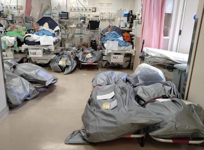 超3500人死亡，病房“人尸共处”照疯传，网哭：香港人做错什么？（图） - 1