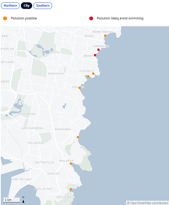脏！悉尼海滩污染将持续数日，游泳者下水前要“三思”（组图） - 3