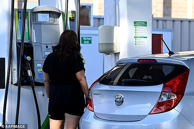 汽油价格飙升，薛顿呼吁澳人购买电动汽车，批莫里森对此“无作为”（视频/组图） - 4