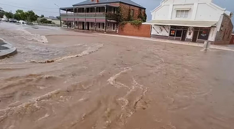 又一轮强降雨来袭，悉尼要连下4天雨！一地遭2000次雷击（视频/组图） - 5