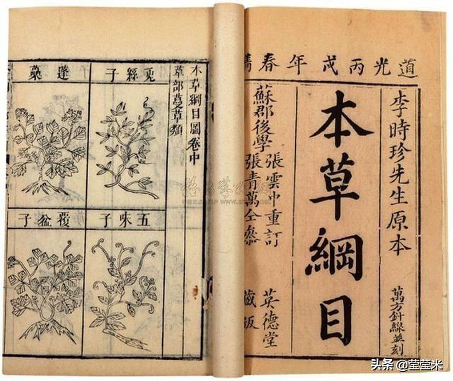 中国古代四大名医之一李时珍也在《本草纲目》中阐述：“灸之则透诸经而治百种病邪。”