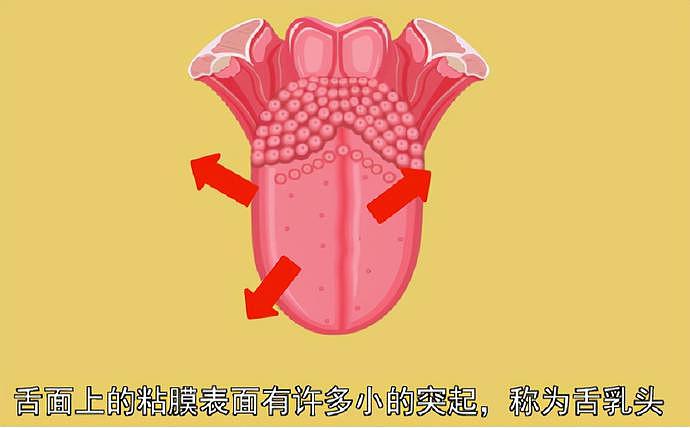 【两性】你的舌头其实是个性器官，而且它的用处不止这些（组图） - 8