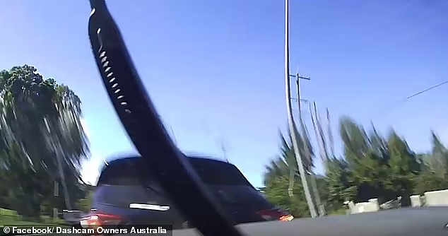 澳女司机“首撞”视频曝光！不带刹车径直追尾前车，网友：回炉重造吧（视频/组图） - 5