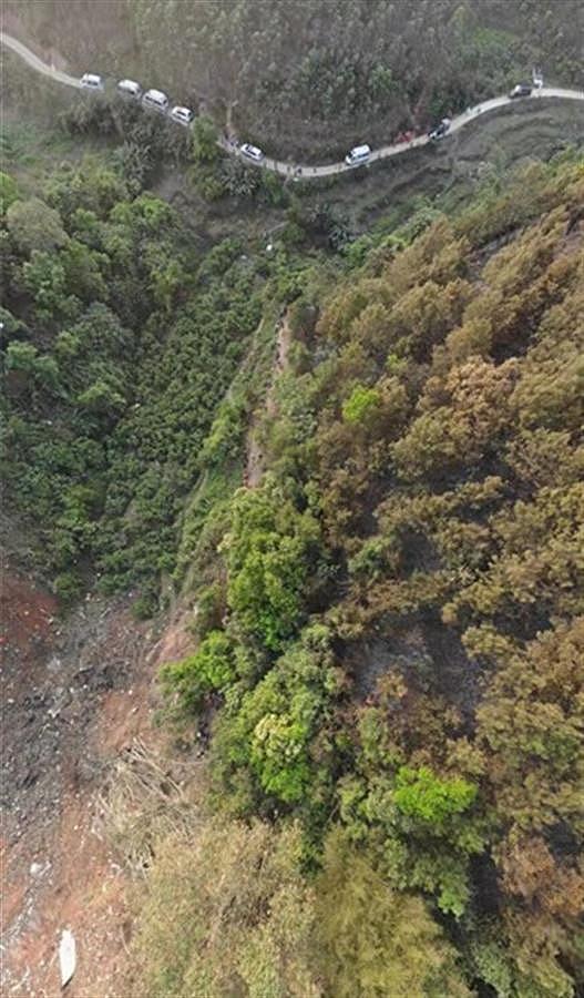 东航客机坠毁地有种植园，工人们午休躲过一劫（组图） - 1