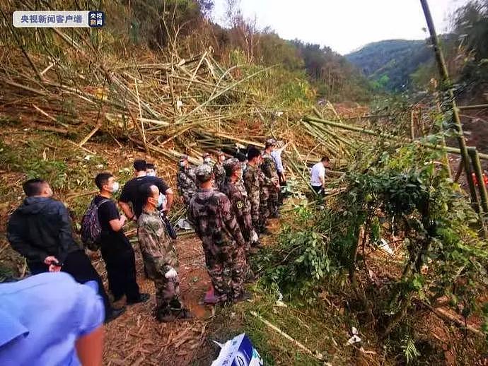 航空专家：目前找黑匣子难度大，普通人不要去窥探现场（组图） - 3