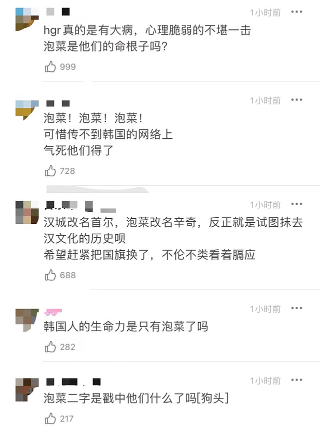 秋瓷炫因泡菜翻译不当引韩网争议，韩教授公开批评，本人火速道歉（组图） - 13