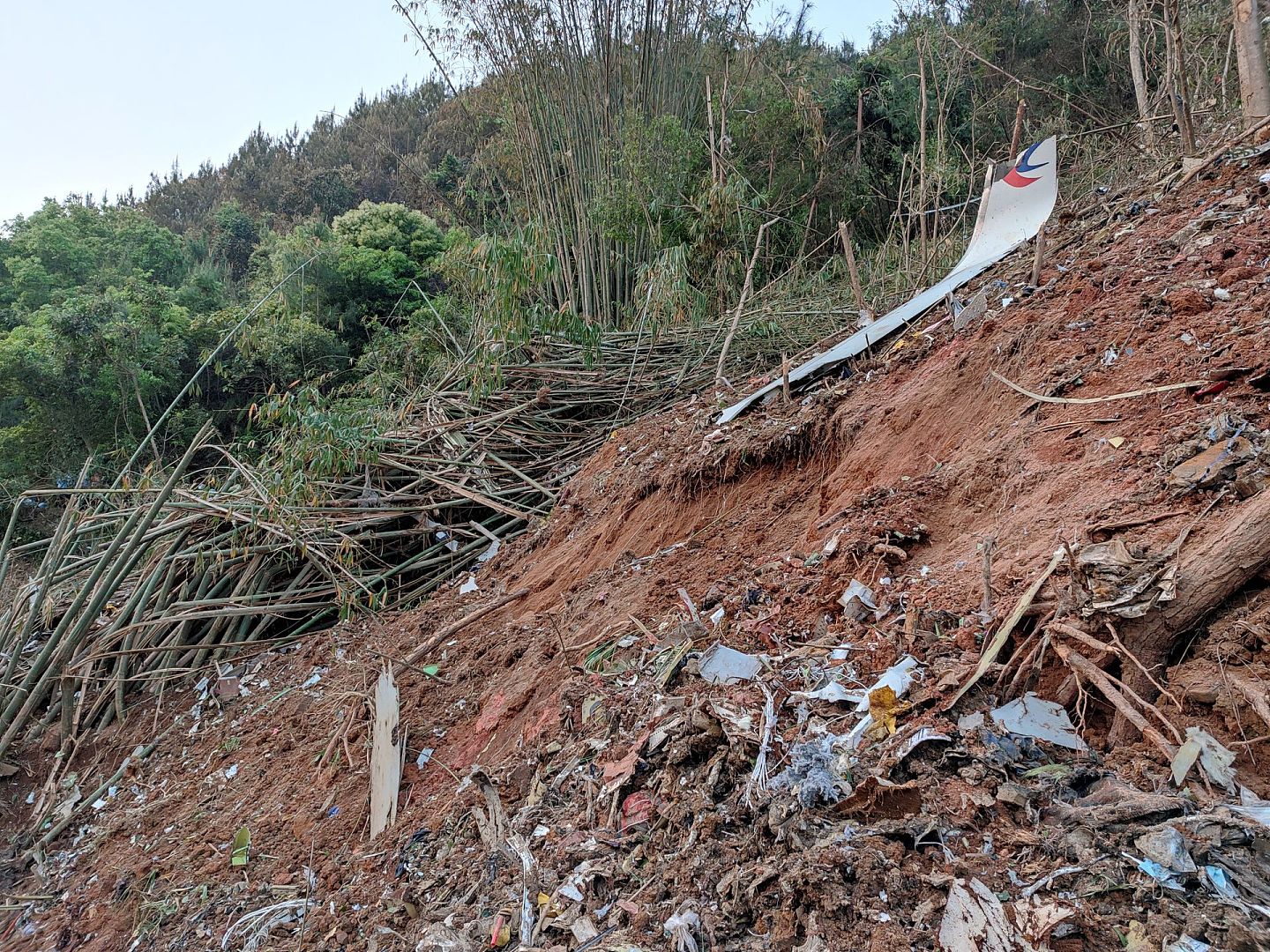 3月21日搜救人员在广西藤县坠机现场发现的飞机残骸（手机照片）。（新华社）