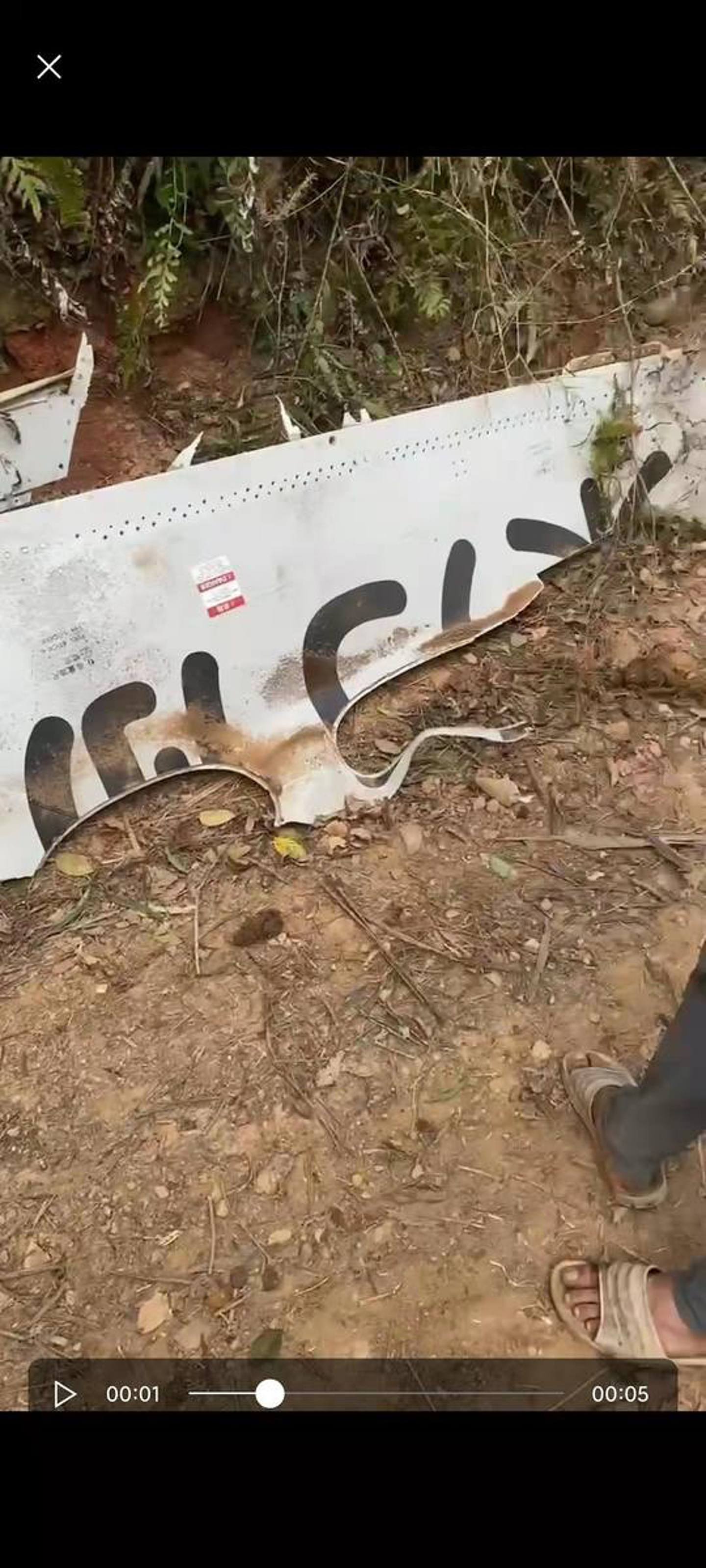 网传失事飞机的残骸。 （影片截图）
