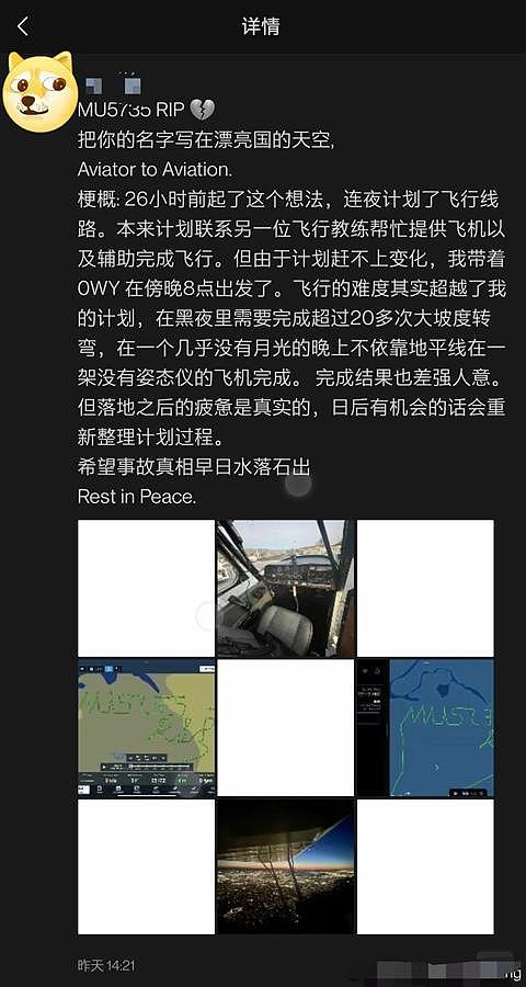 在美国高空留下“愿MU5735安息”轨迹的飞行员系中国人，完成20多次大坡度转弯（视频/组图） - 4