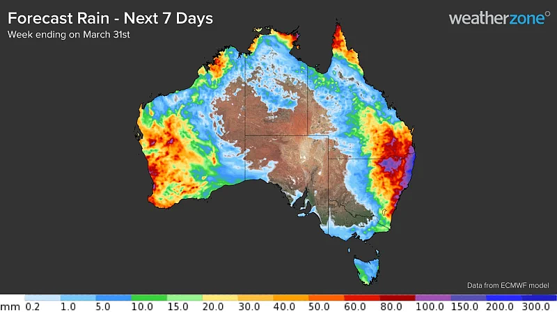悉尼等地发布严重雷暴警告，部分地区恐暴发山洪！降雨将持续至下周（组图） - 3