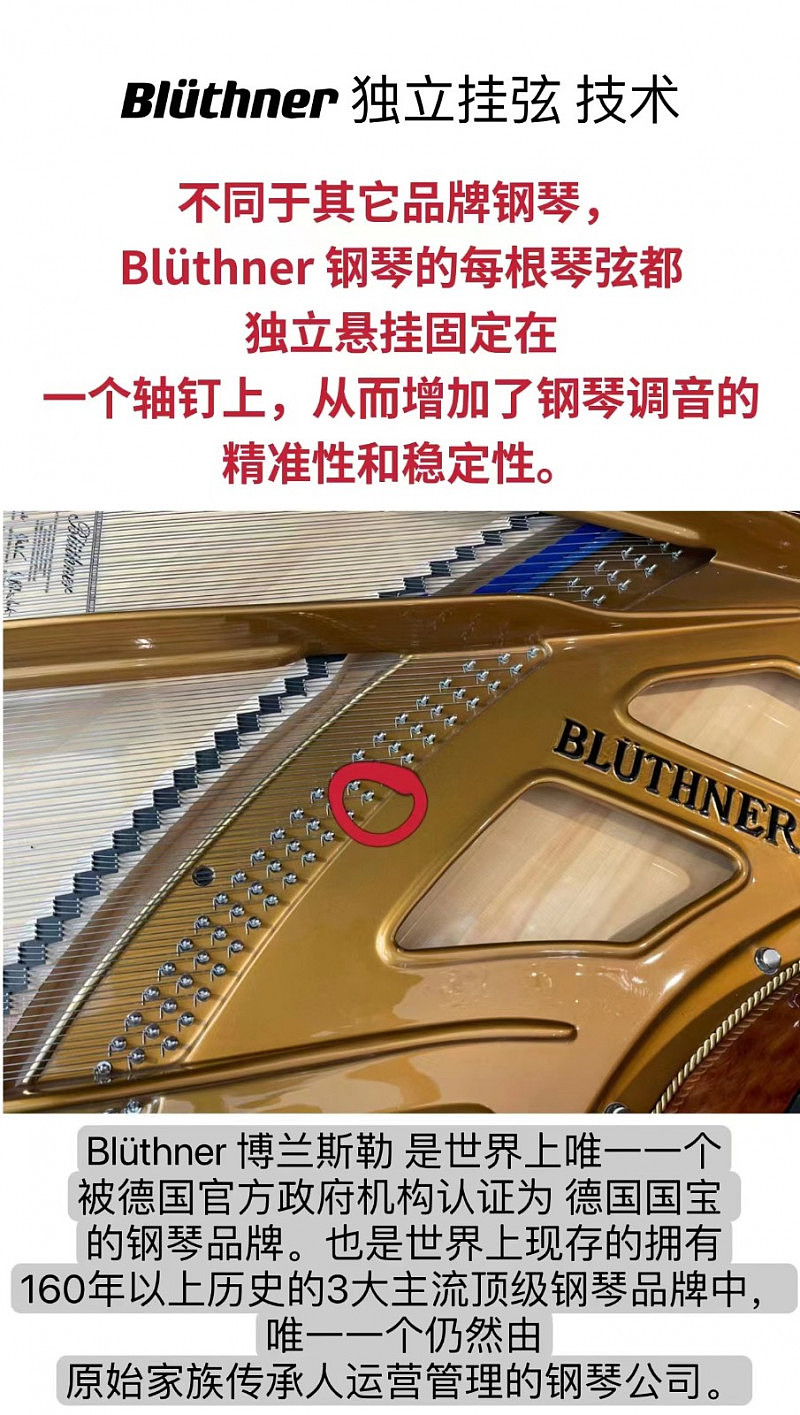 德国原装钢琴，Up to 30% off，多个著名品牌全线折扣促销进行中！—— Australian Piano Centre - 4