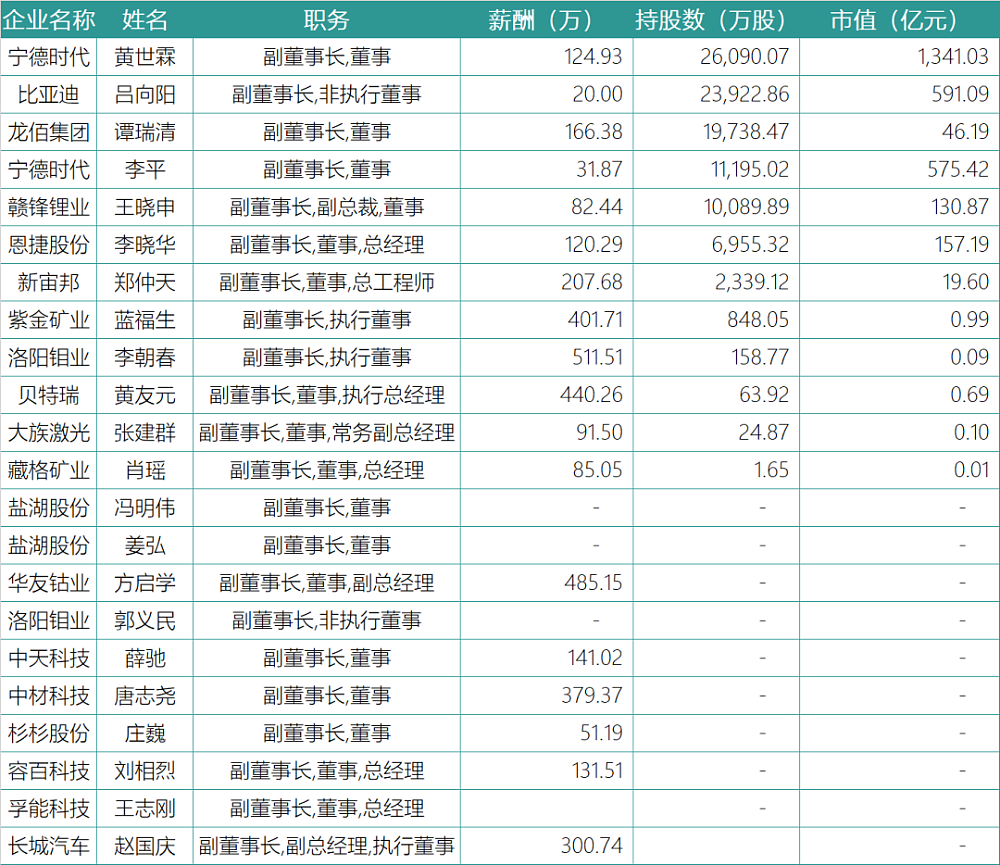 谁在引领中国锂电 - 13