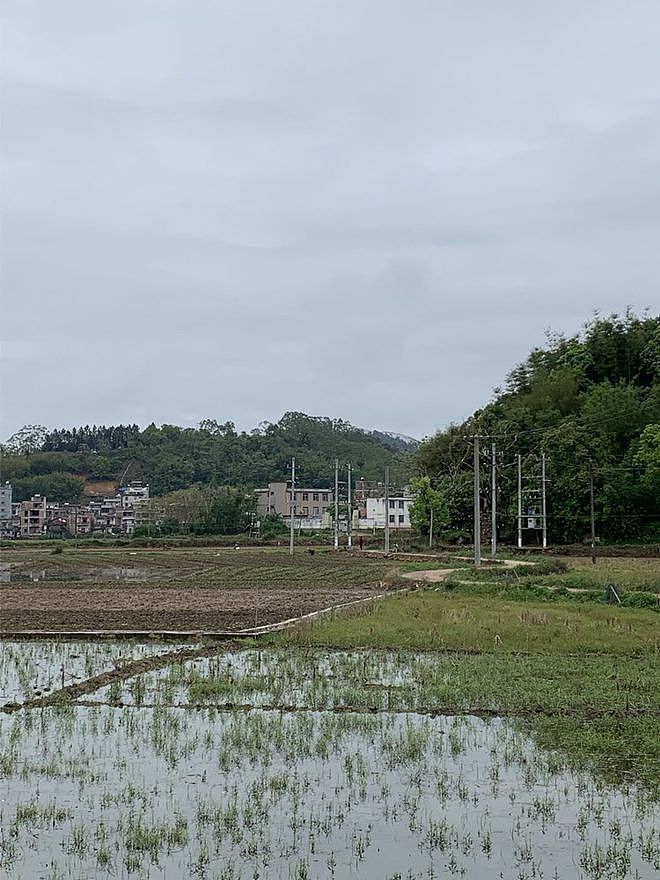 多人目击MU5735：它或曾努力拉升，飞的咯啦咯啦响（组图） - 3