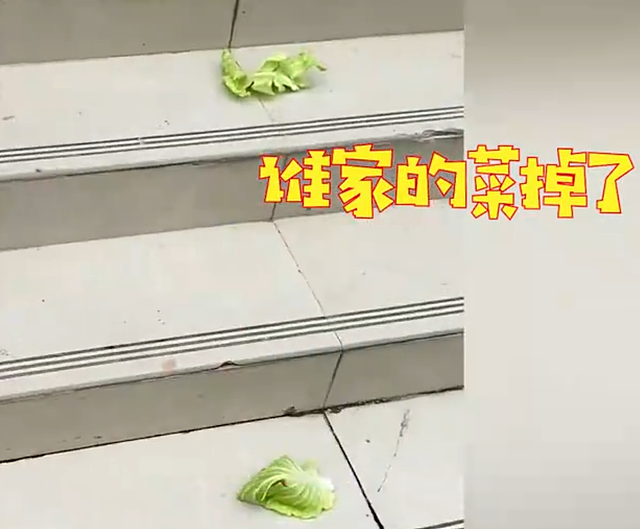 上海蔬菜价暴涨！男子在台阶上看见了2片包菜叶，随后反应令人惊呆：赶紧回家炒一碗菜（视频/组图） - 1